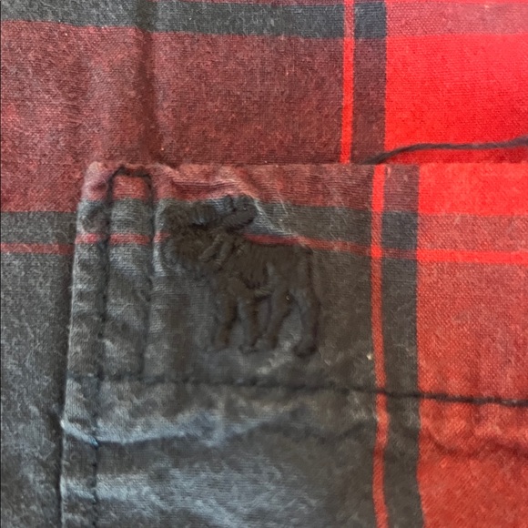 Abercrombie & Fitch Kids Blue and Red Checkered Shirt - Picture 3 of 4